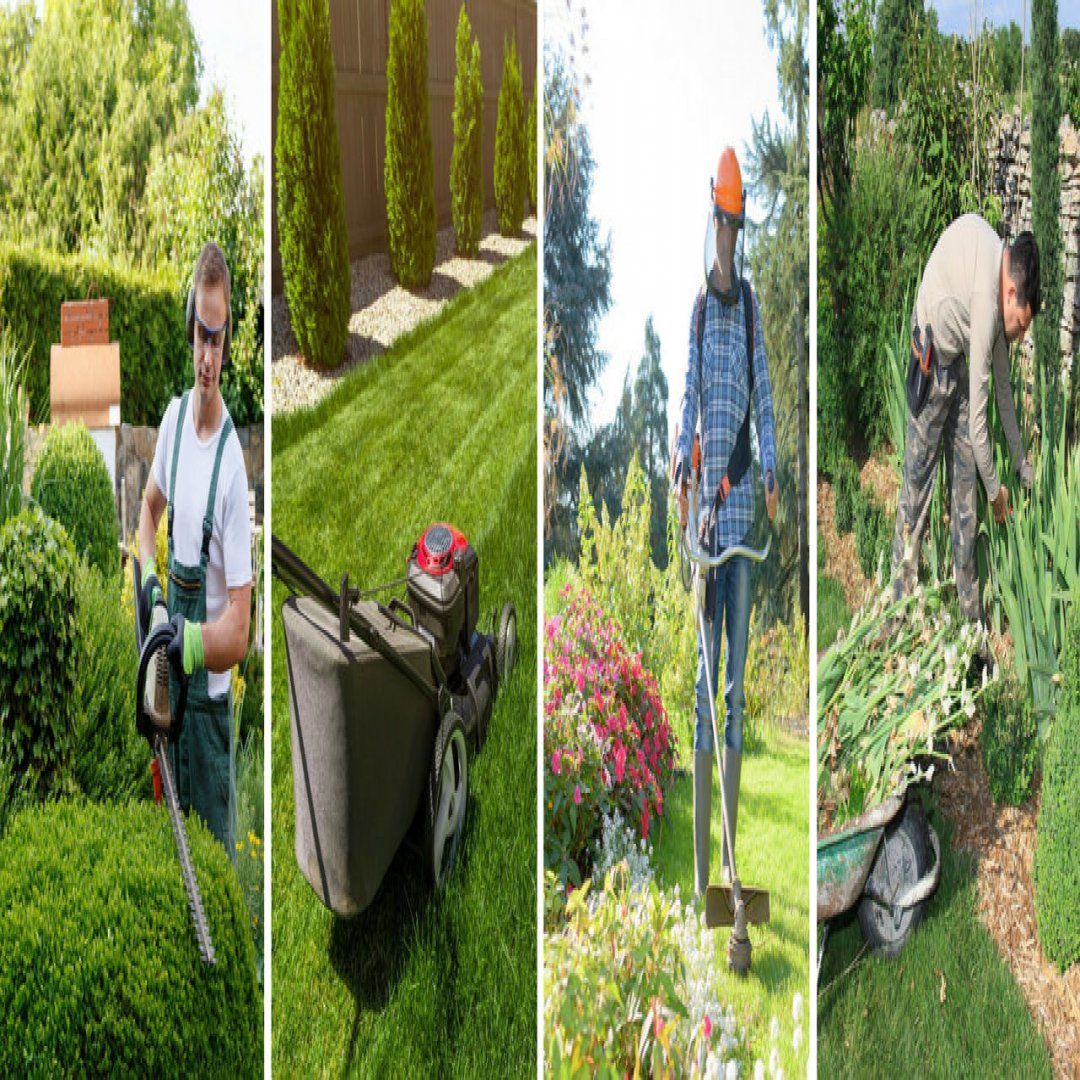 Rejoignez Notre Équipe d'Experts en paysagisme jardinage