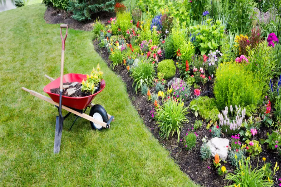 entretien de jardin