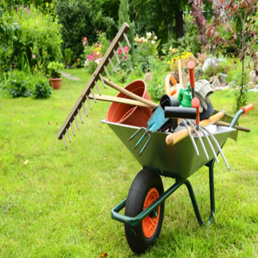 brouette avec outils pour l'entretien de jardin