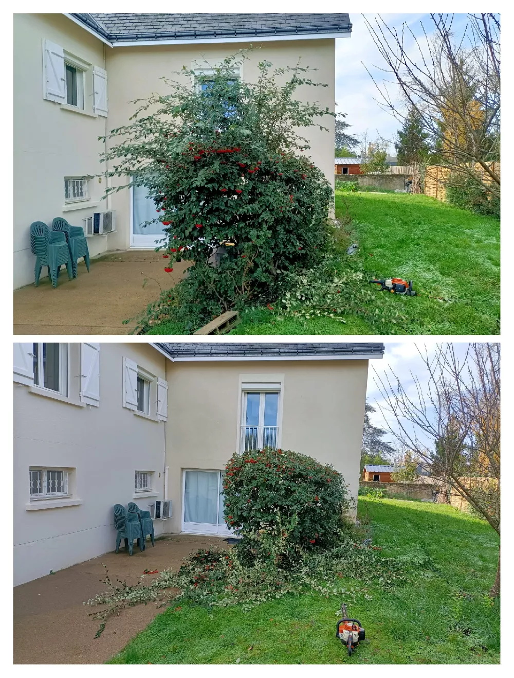 services d'élagueur